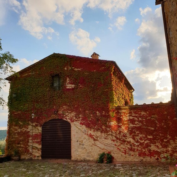 Un bâtiment recouvert de lierre rouge et vert, avec un mur en pierre et une porte métallique fermée. 5
