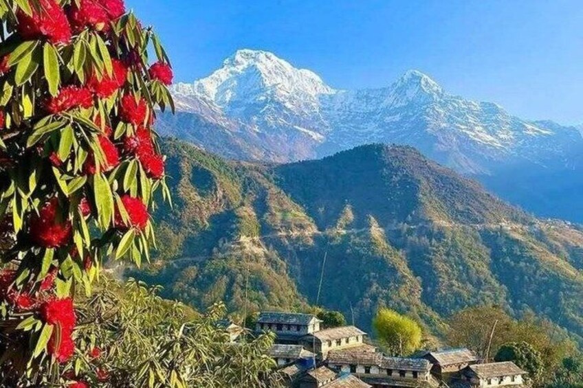 A mountainous landscape with snow-capped peaks, a village with traditional houses, and lush greenery. 1