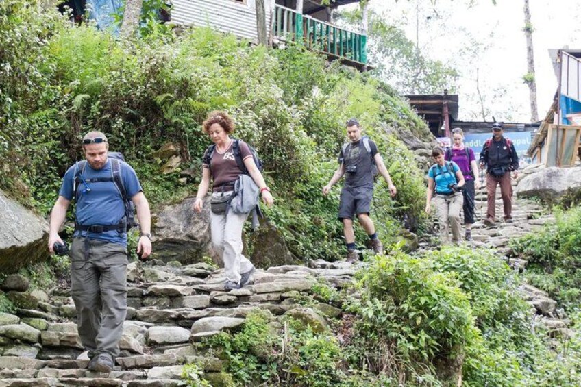 People hiking on a rocky path surrounded by greenery. 3