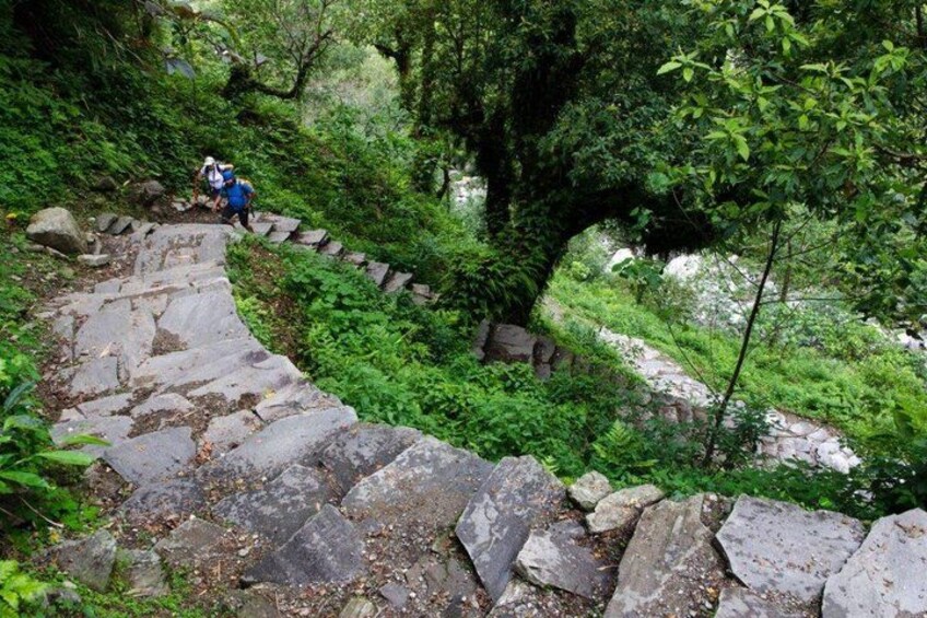 A stone staircase in a forested area with hikers. 2