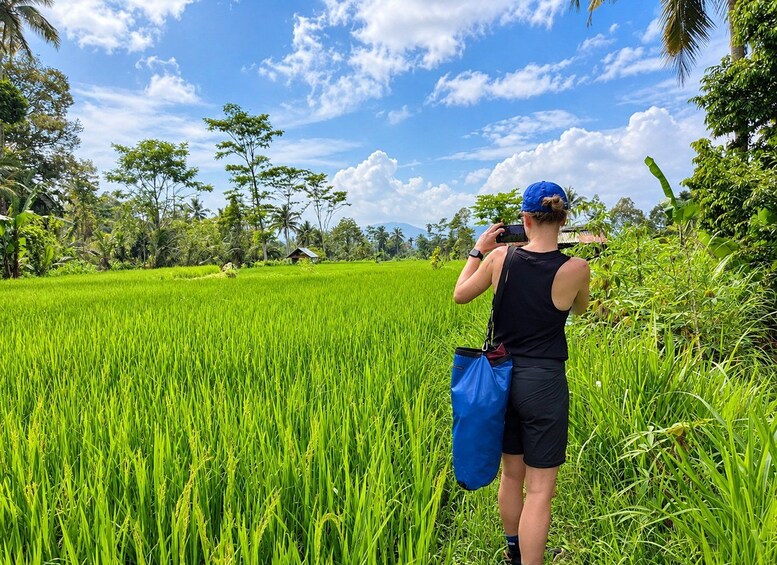 Une personne prend une photo dans un champ de riz verdoyant, sous un ciel bleu parsemé de quelques nuages. 5