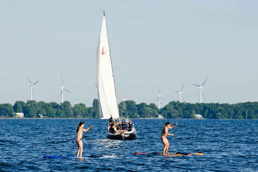Two people paddleboarding on a body of water with a sailboat in the background and wind turbines on the shore. 1