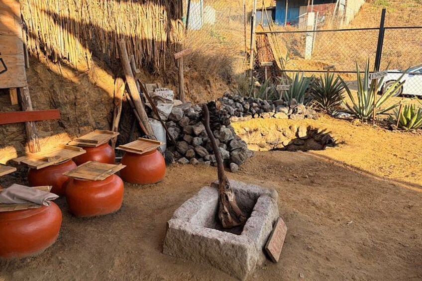 Tradition and Unlimited Tasting of Agave in Oaxaca with food 5
