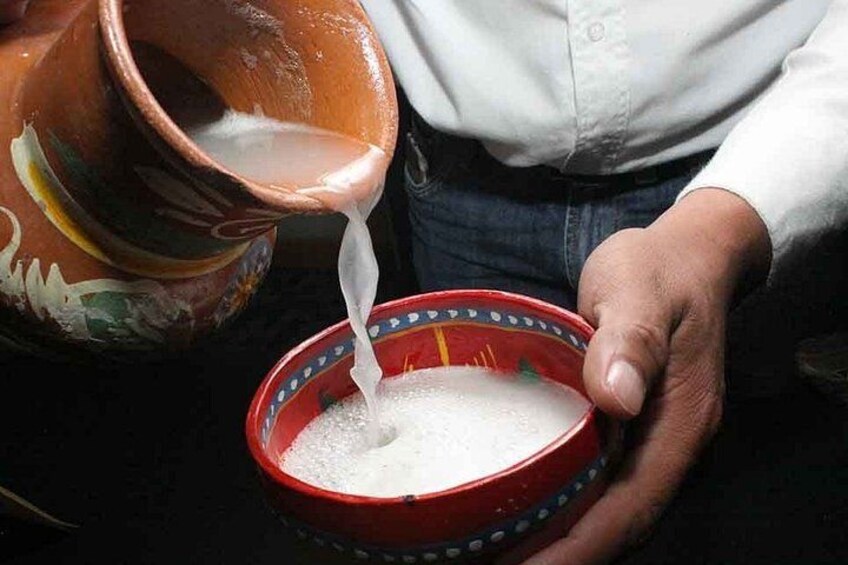 Tradition and Unlimited Tasting of Agave in Oaxaca with food 3