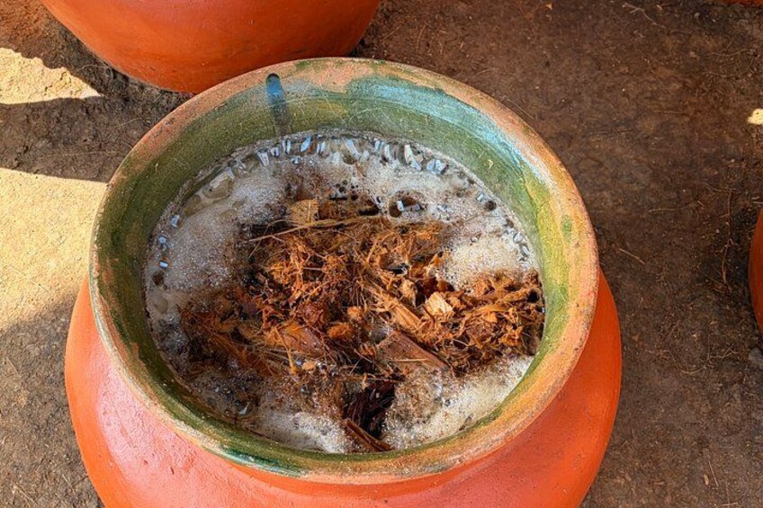 Tradition and Unlimited Tasting of Agave in Oaxaca with food 1