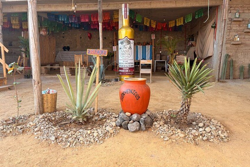 Tradition and Unlimited Tasting of Agave in Oaxaca with food 4