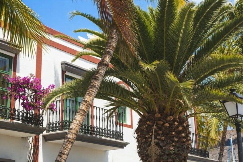 A white building with balconies, a palm tree, and purple bougainvillea flowers. 3