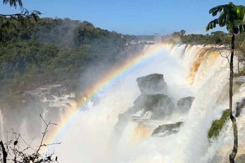 A waterfall with a rainbow, surrounded by lush greenery. 3