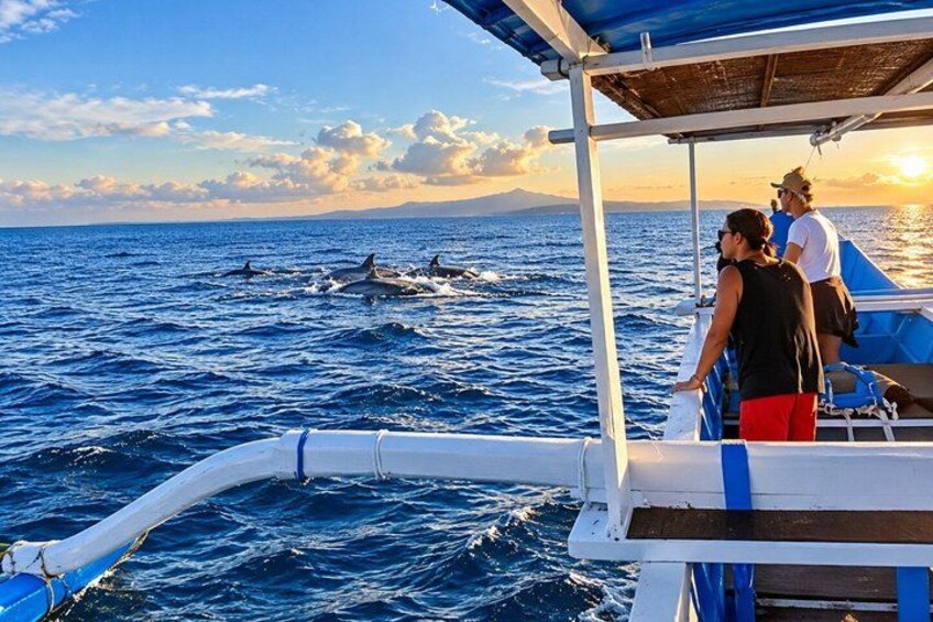 A boat with people observing dolphins in the ocean. 2