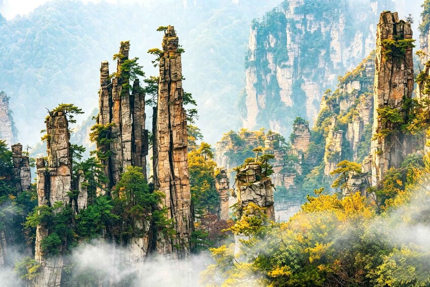 Picture 11 for Activity Zhangjiajie: 1-2Day Avatar + Glass Bridge & Tianmen Mountain 5