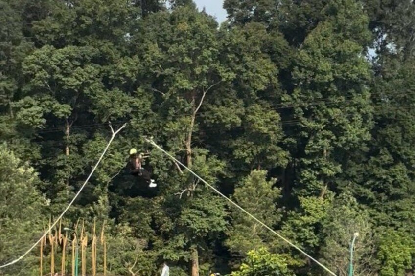 A person suspended in mid-air, performing an acrobatic stunt on a rope amidst a dense forest. 3
