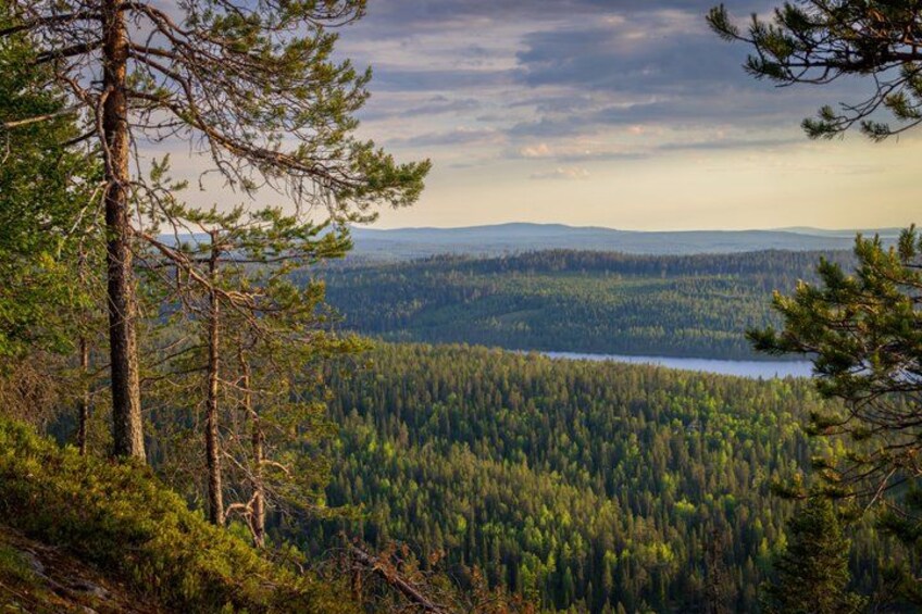 A forested landscape with a lake and distant mountains. 1