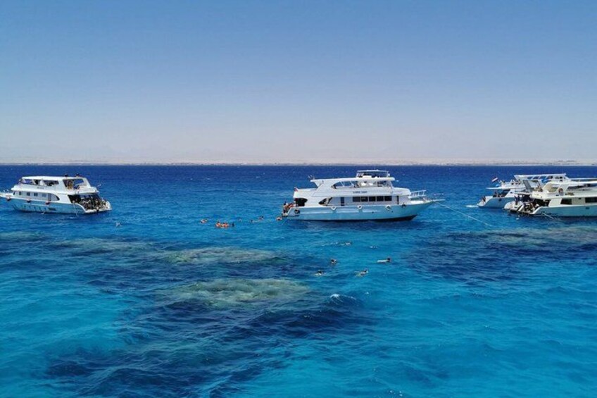 Three yachts on a clear blue sea with a distant shoreline. 2