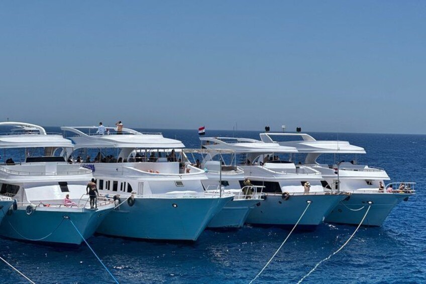 A fleet of blue and white boats docked in a marina. 4