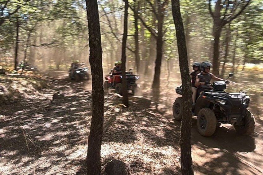 Off-road vehicles on a forest trail. 4