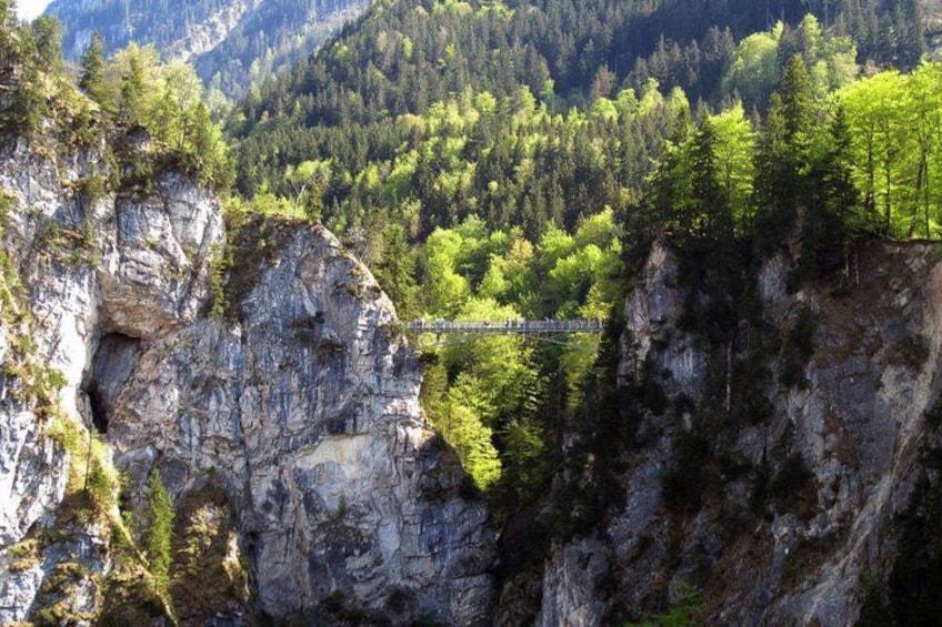 A suspension bridge over a canyon with dense forest on either side. 2