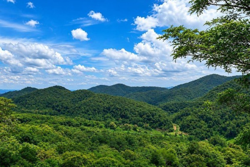 A lush green valley with rolling hills under a blue sky with scattered clouds. 1