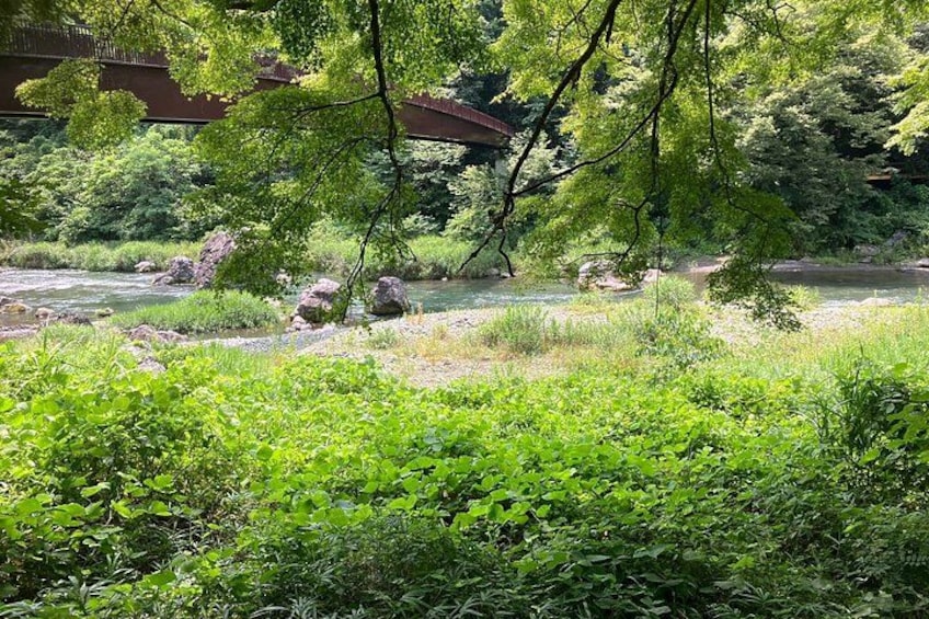 A river with rocks, lush greenery, and a bridge in the background. 4