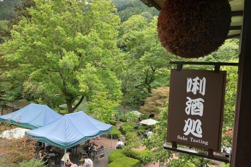 A sign for 'Sake Tasting' in a lush, green outdoor setting with trees and umbrellas. 4
