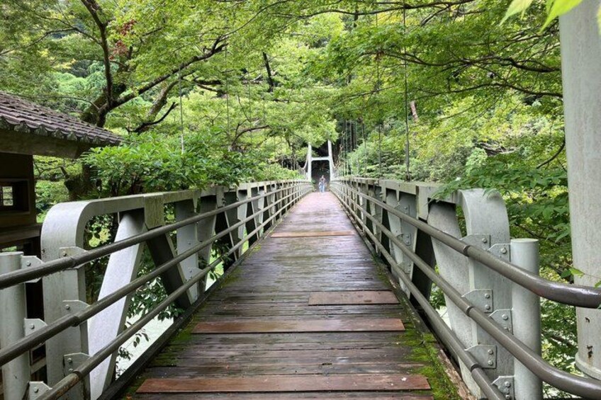 A wooden bridge with metal railings, surrounded by lush greenery. 1