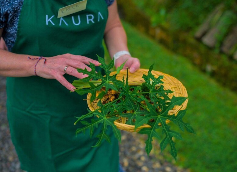 Une personne portant un tablier vert avec une étiquette nominative, tenant un panier contenant des feuilles vertes et un objet jaune. 2
