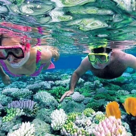 Deux personnes pratiquent la plongée avec tuba au milieu de récifs coralliens et de poissons. 1