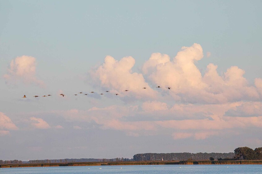 A flock of birds flying over a body of water with a cloudy sky. 3