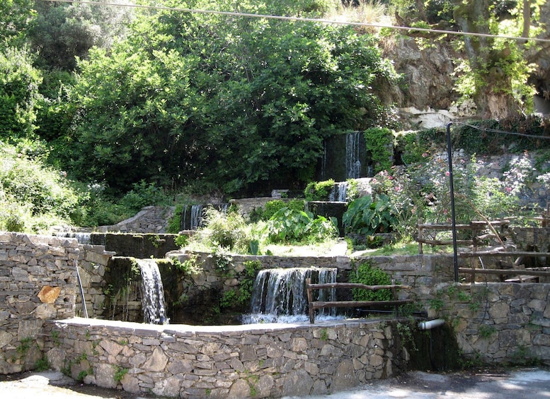 A stone water cascade with surrounding greenery and a wooden fence. 5