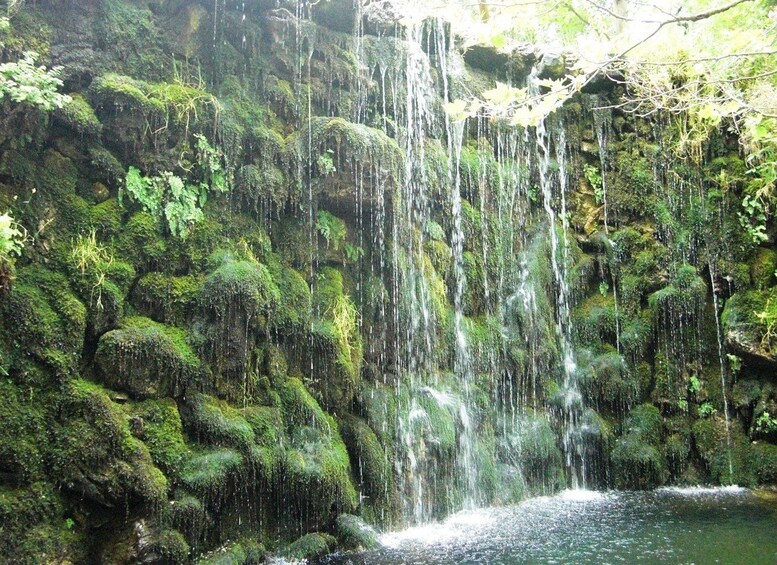 A waterfall cascading over moss-covered rocks in a forested area. 4