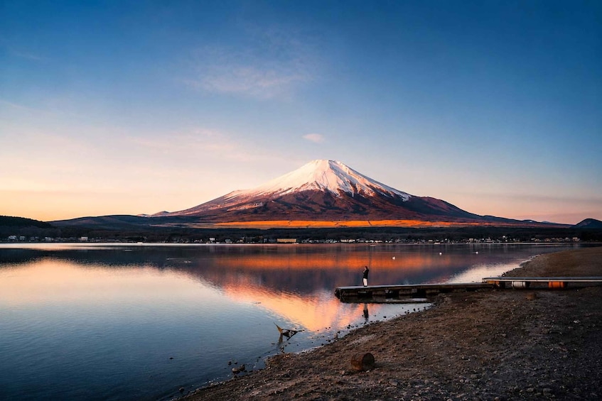 Picture 14 for Activity From Tokyo: Mt Fuji Twin Lakes & Swan Shore Day Trip 4