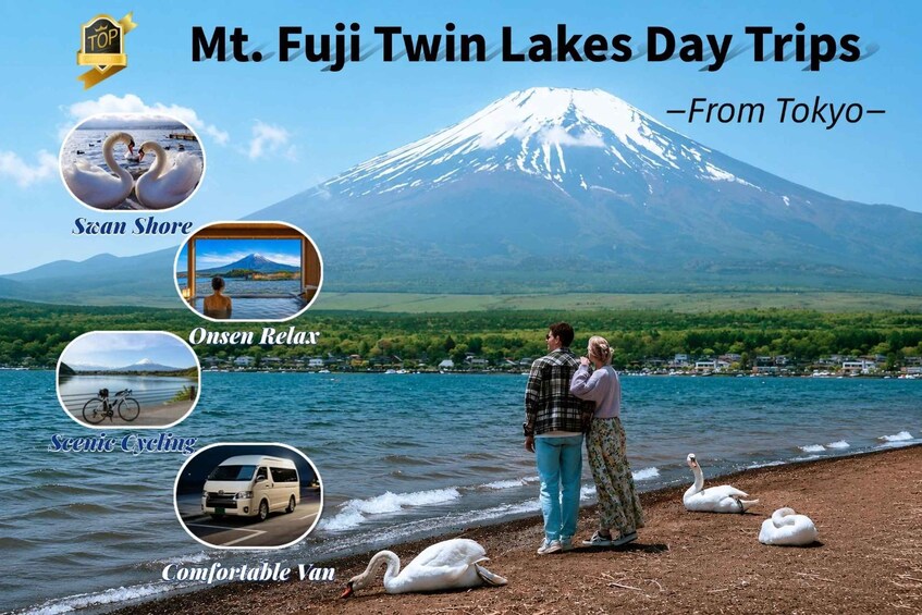 From Tokyo: Mt Fuji Twin Lakes & Swan Shore Day Trip 1