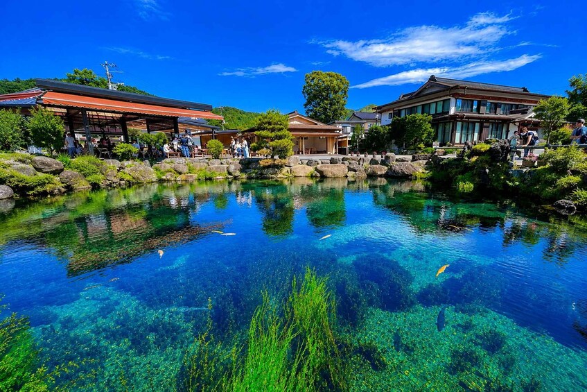 Picture 15 for Activity From Tokyo: Mt Fuji Twin Lakes & Swan Shore Day Trip 5