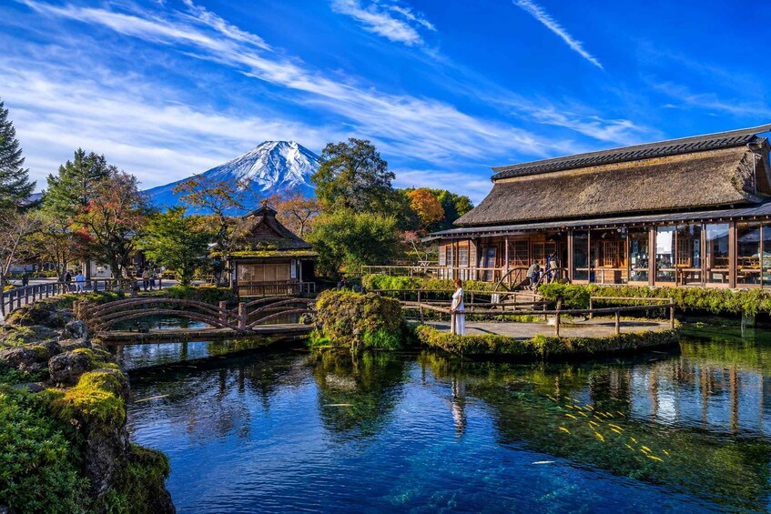 Picture 20 for Activity From Tokyo: Mt Fuji Twin Lakes & Swan Shore Day Trip 3