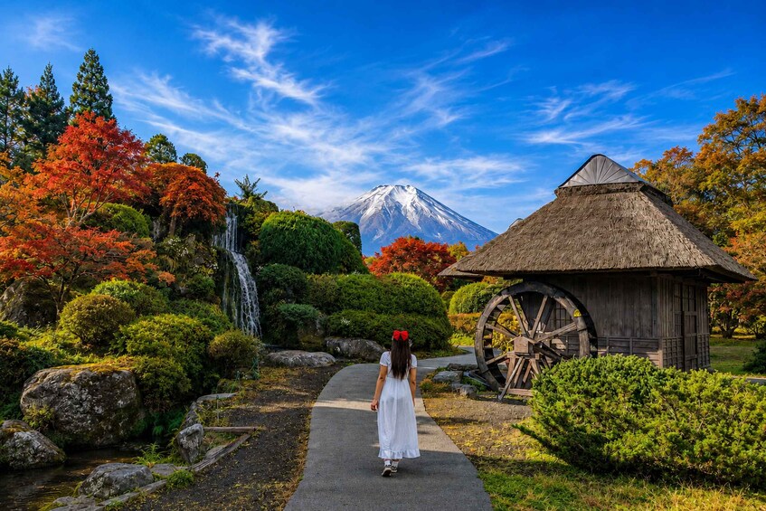 Picture 11 for Activity From Tokyo: Mt Fuji Twin Lakes & Swan Shore Day Trip 2