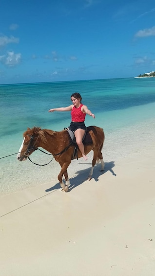 Une personne à cheval sur une plage, avec une eau d’un bleu limpide et une côte visible au loin. 1