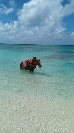 Un cheval et son cavalier dans une eau turquoise peu profonde. 2
