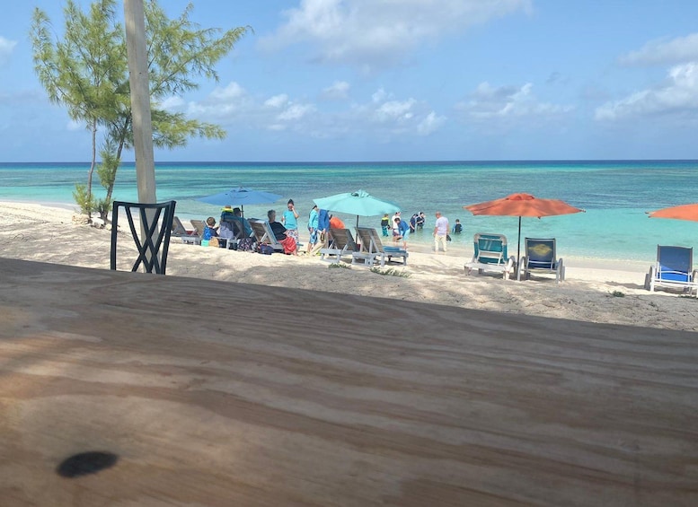 Une plage avec des gens, des parasols et des chaises longues. 4