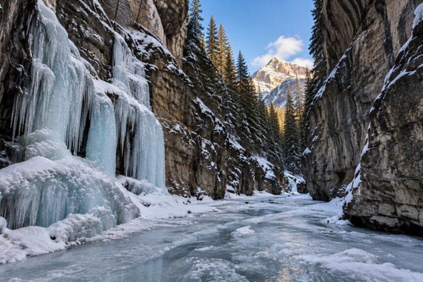 A frozen river with ice formations and snow-covered trees. 1