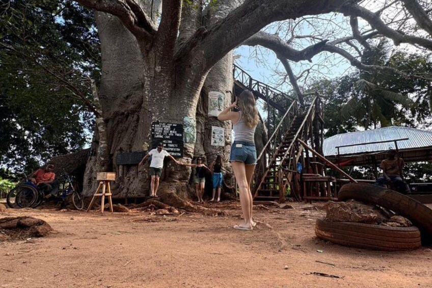 A large tree, a wooden platform, and a metal structure. 3
