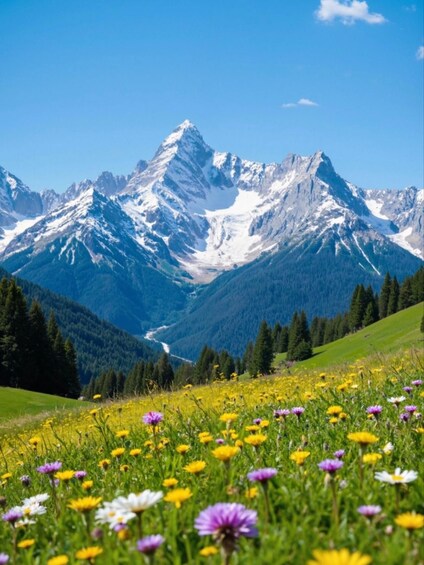 A mountain range with snow-capped peaks, a valley with a river, and a field of wildflowers. 5