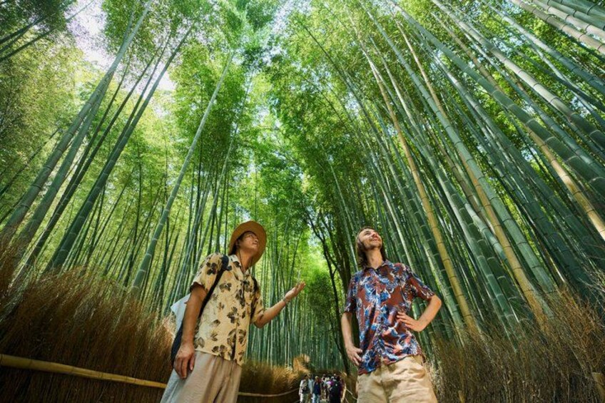 Two people standing in a bamboo forest. 1