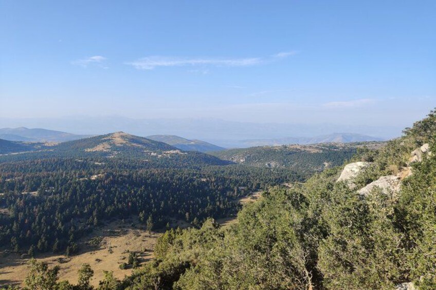 A mountainous landscape with dense forests and clear skies. 1