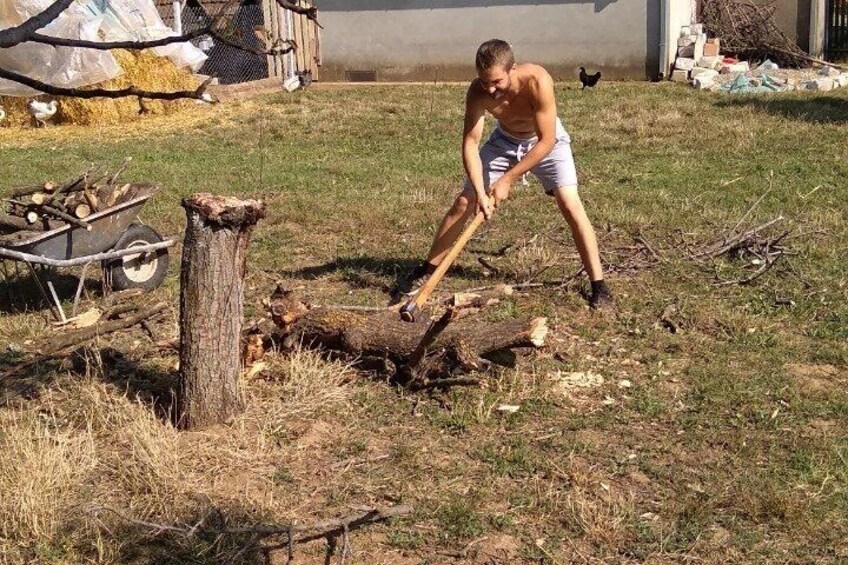 A man chopping wood in a grassy area with a wheelbarrow and a pile of firewood in the background. 3