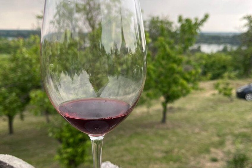 A wine glass with red liquid, set against a vineyard backdrop. 5