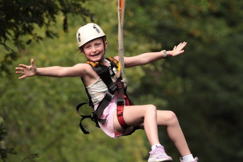 A person zip-lining through a forest. 3
