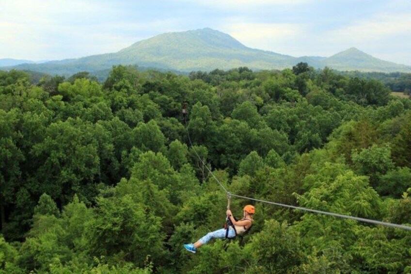 A person zip-lining through a dense forest with mountains in the background. 1