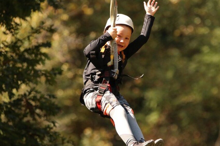 A person zip-lining through a forested area. 2
