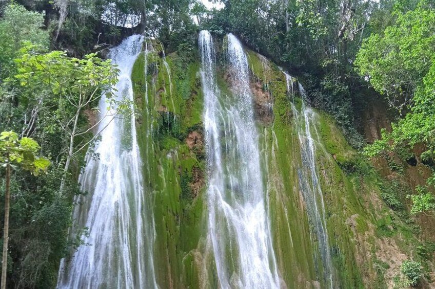 A waterfall cascading down a moss-covered cliff surrounded by dense forest. 3