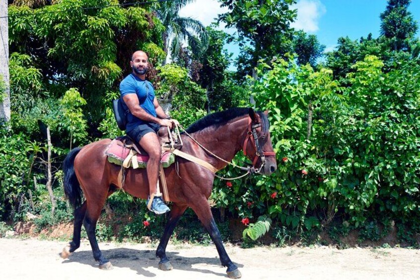 A person riding a horse on a dirt path with lush greenery and trees in the background. 4