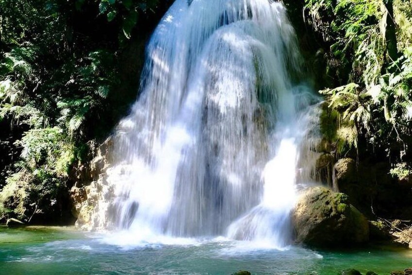 A waterfall cascading over rocks into a pool of water surrounded by greenery. 3